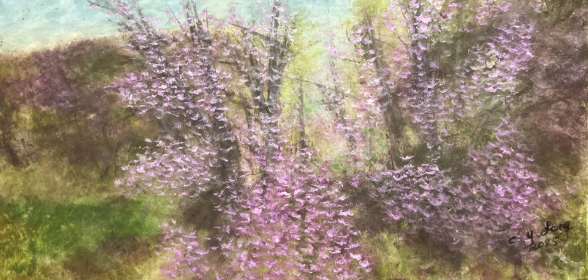 Mountain Purple Flowers