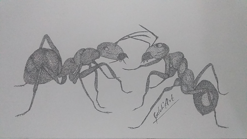 semut galuh art