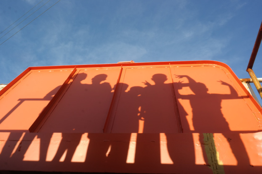 Shadows of Salute