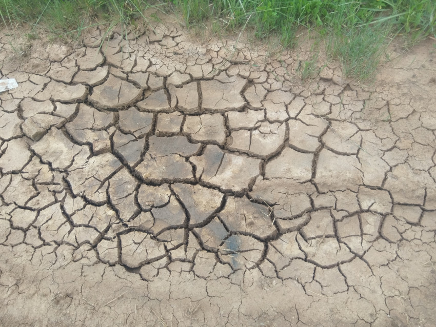Dry land