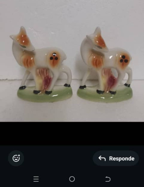 IMG 20250529 WA0038