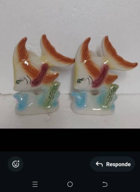 IMG 20250529 WA0053