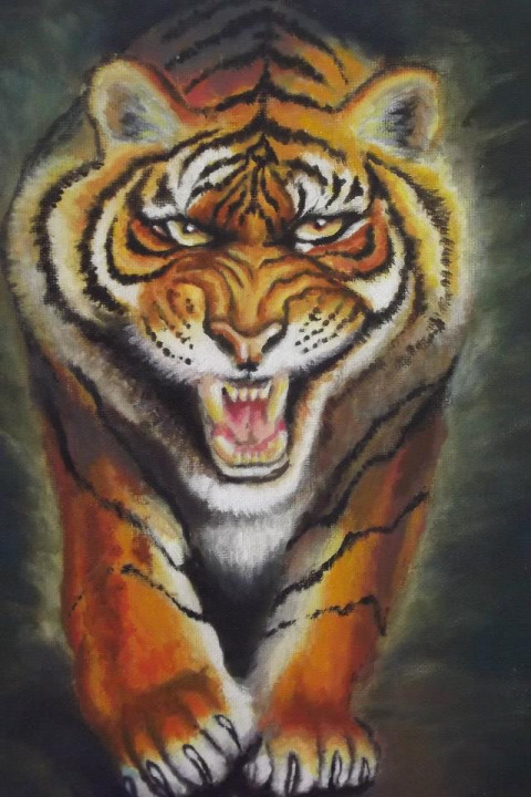 Tigre