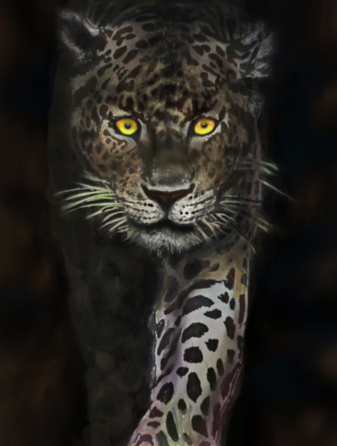 leopardo