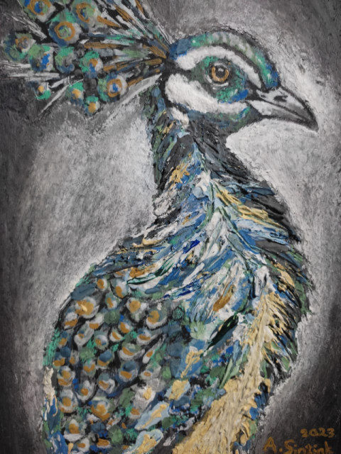 Peacock