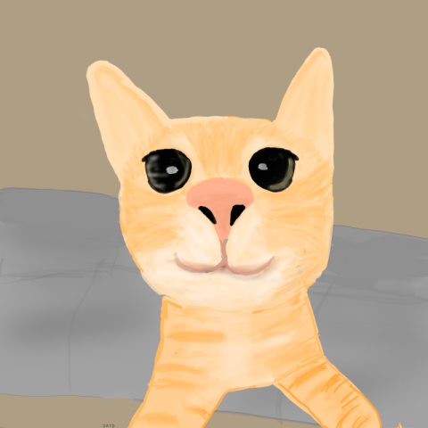 A CAT TAKING A SELFIE