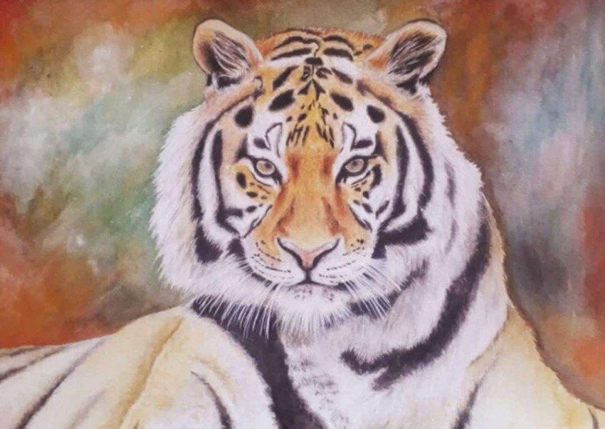 Tigerart