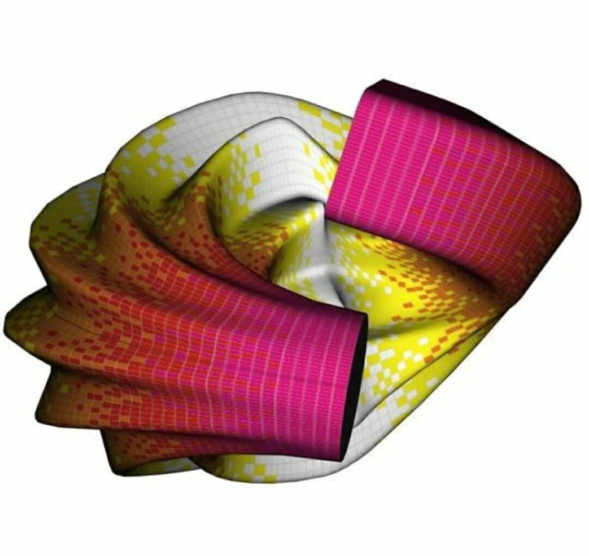 02 renato Pagnano Shell esculpture