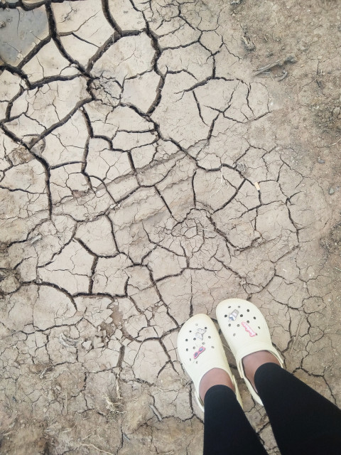 Dryland