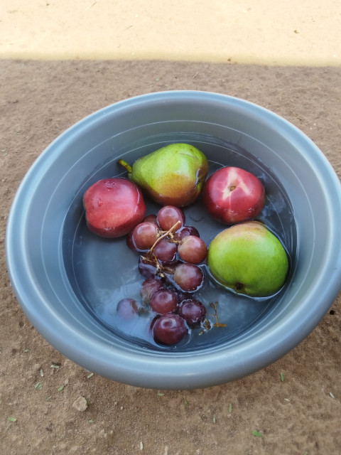 Fruits