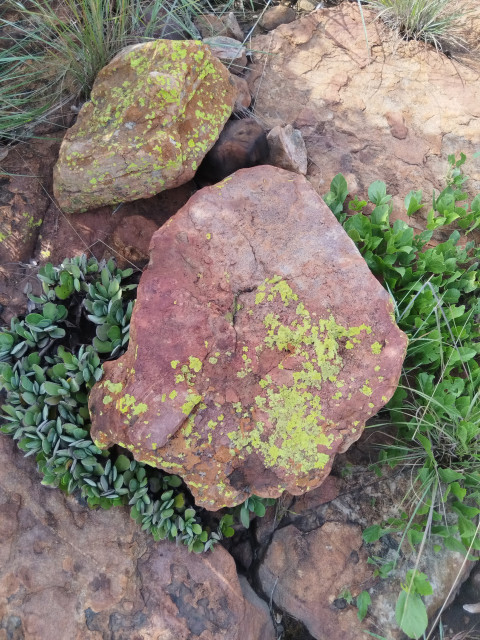 Rock