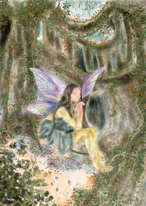 fairy