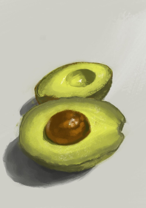 avocado