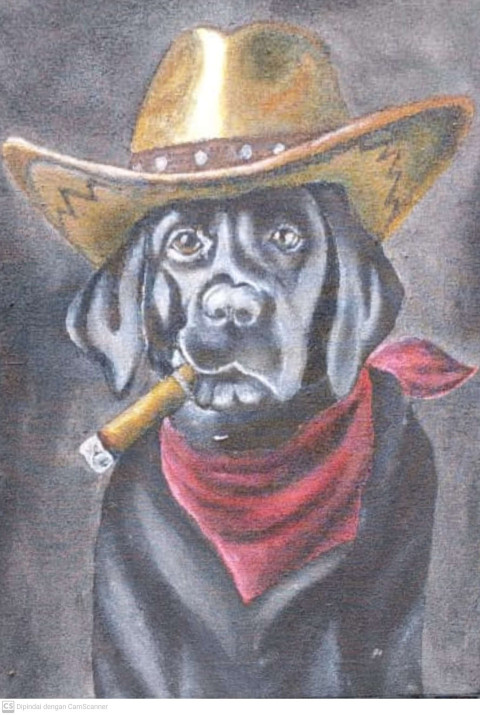 Cowboy dog