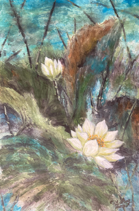 White Lotus