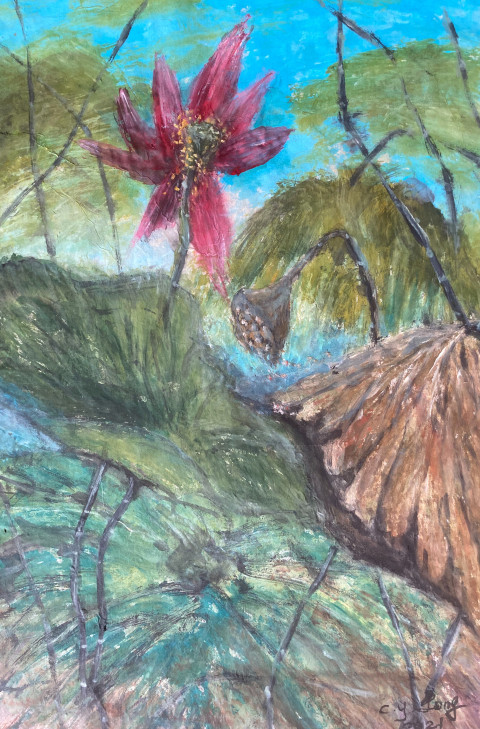 Red Lotus