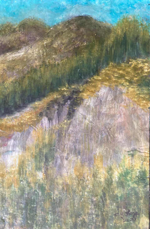 Mountain Field
