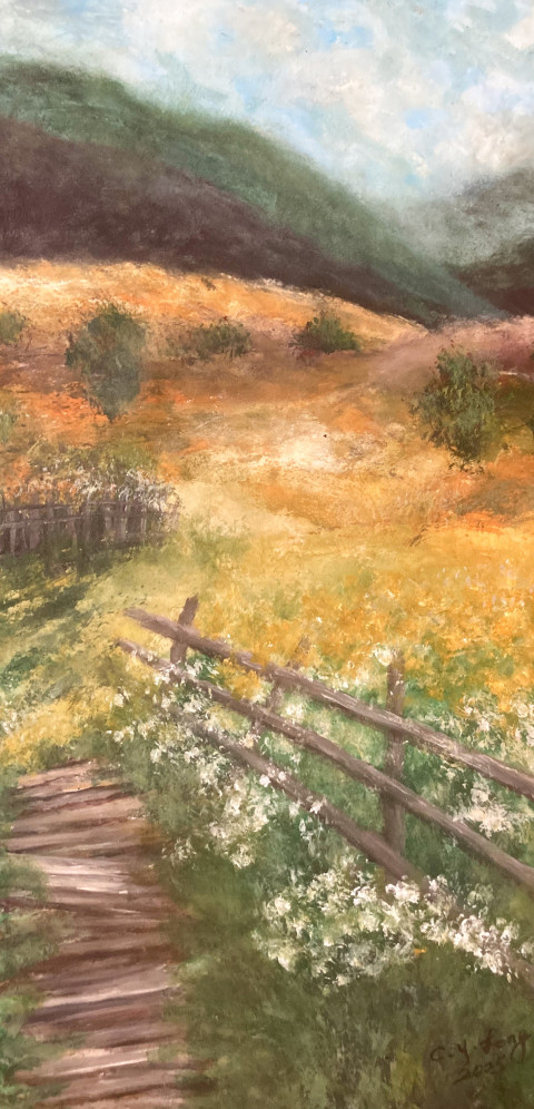 Field with Fance
